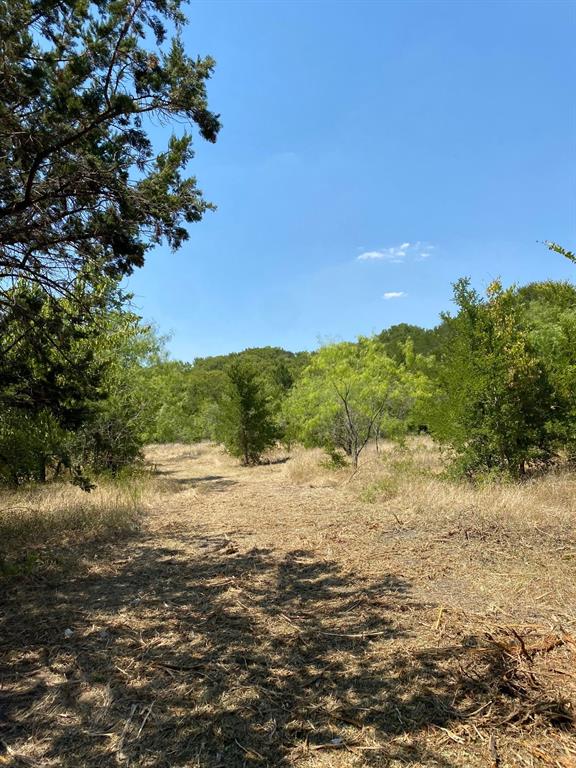 84 West Prairie Hill Mart, TX 76664 - Photo 8 of 35