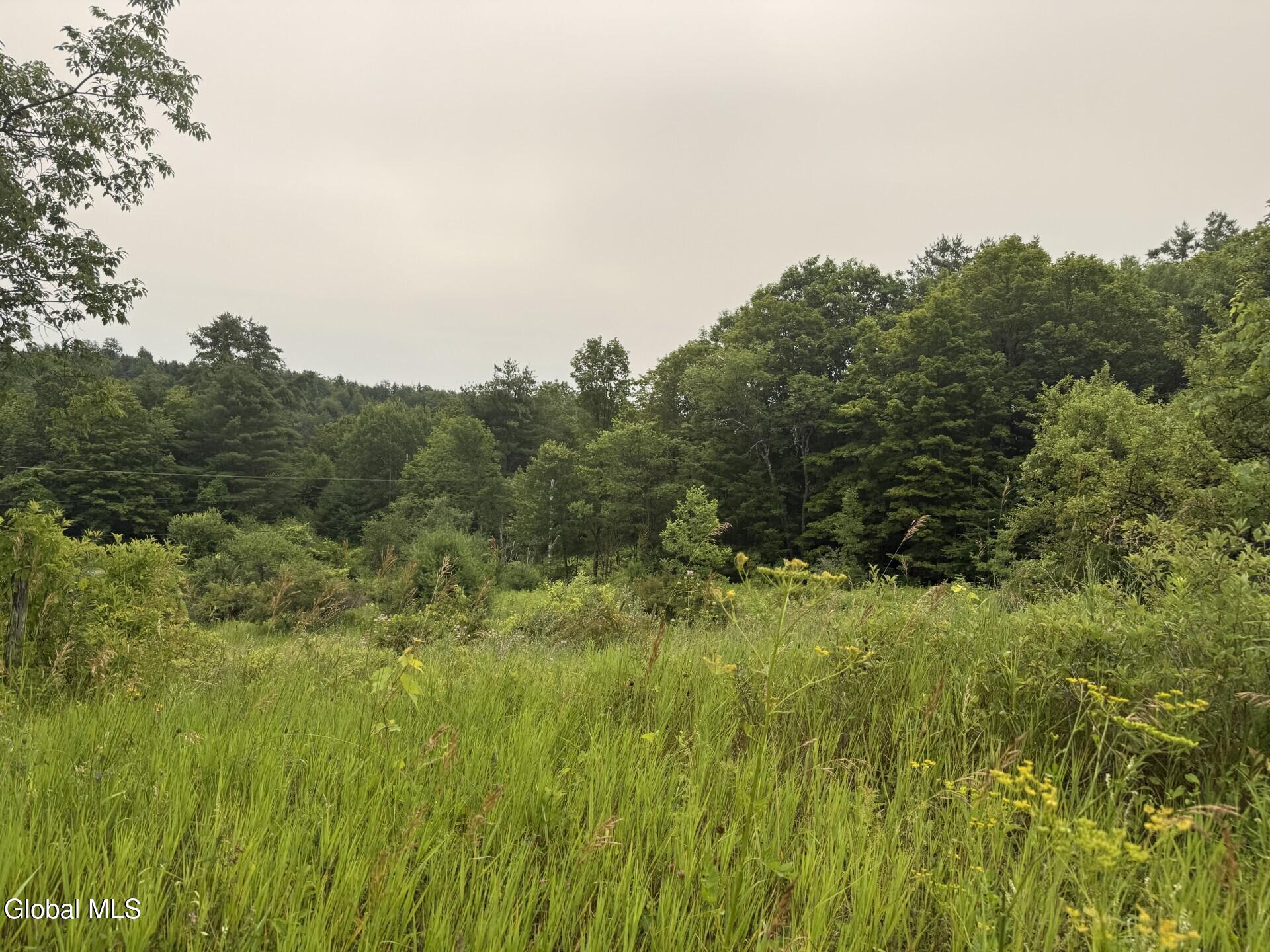 276 Tanner Hill Road Whitehall, NY 12887 - Photo 5 of 7 4