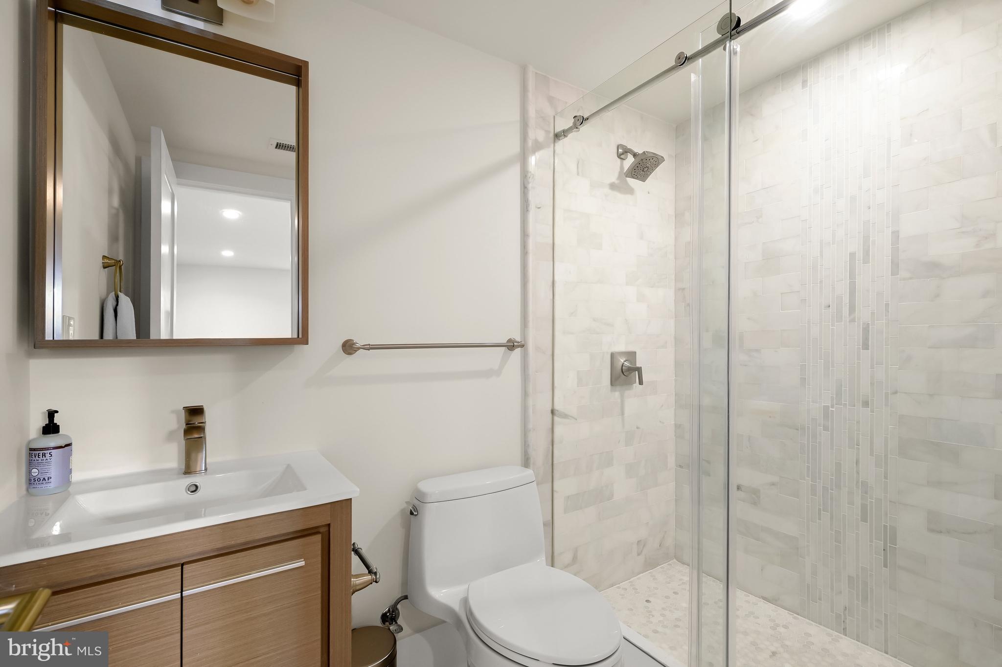 151 Uhland Terrace Northeast Washington, DC 20002 - Photo 20 of 21 Lower Level Bathroom