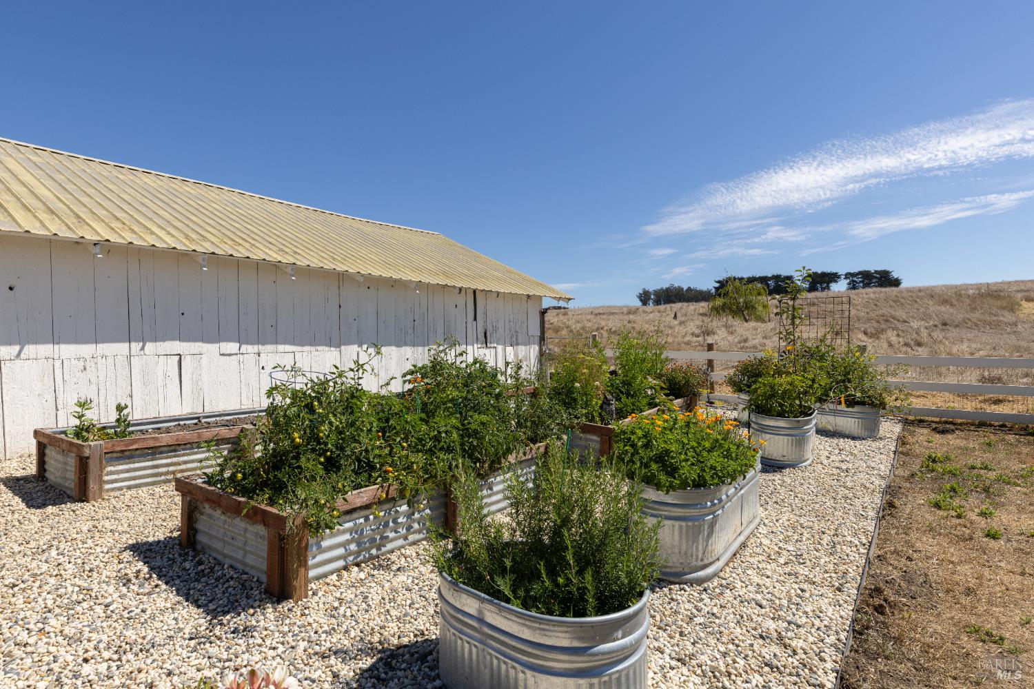 3150 Pepper Road Petaluma, CA 94952 - Photo 49 of 85 Up close shot of the garden beds.