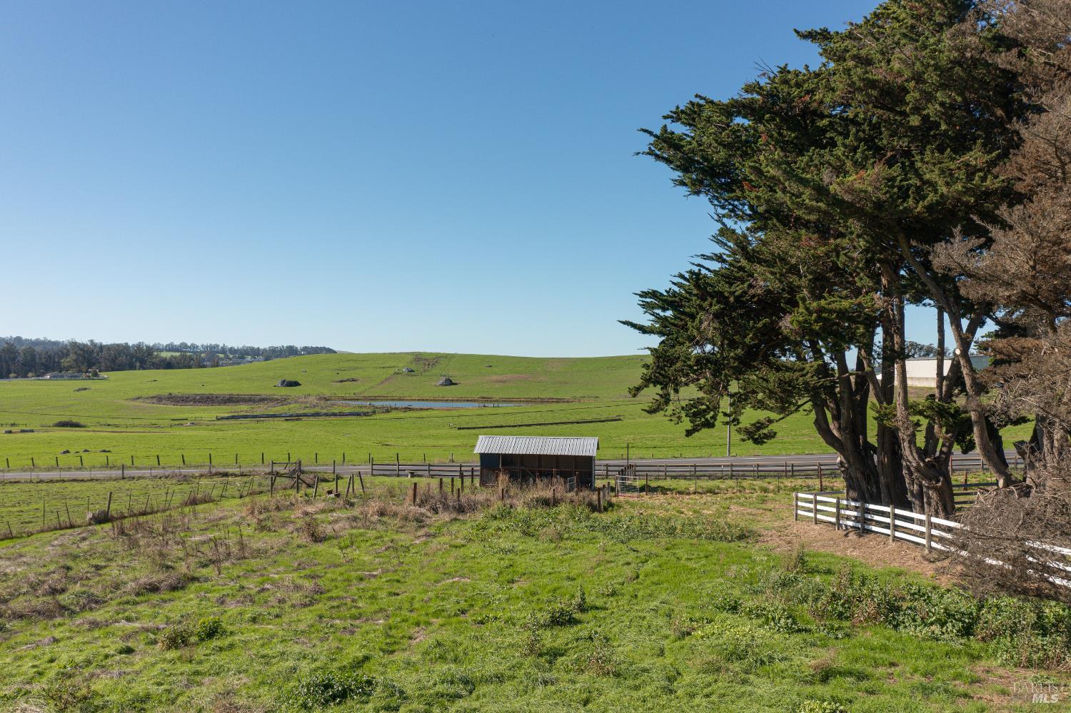 3150 Pepper Road Petaluma, CA 94952 - Photo 51 of 85 Rolling verdant pastureland as far as the eye can see! This is a glimpse of the south side of the property looking towards the chicken coop and Pepper Rd. beyond.
