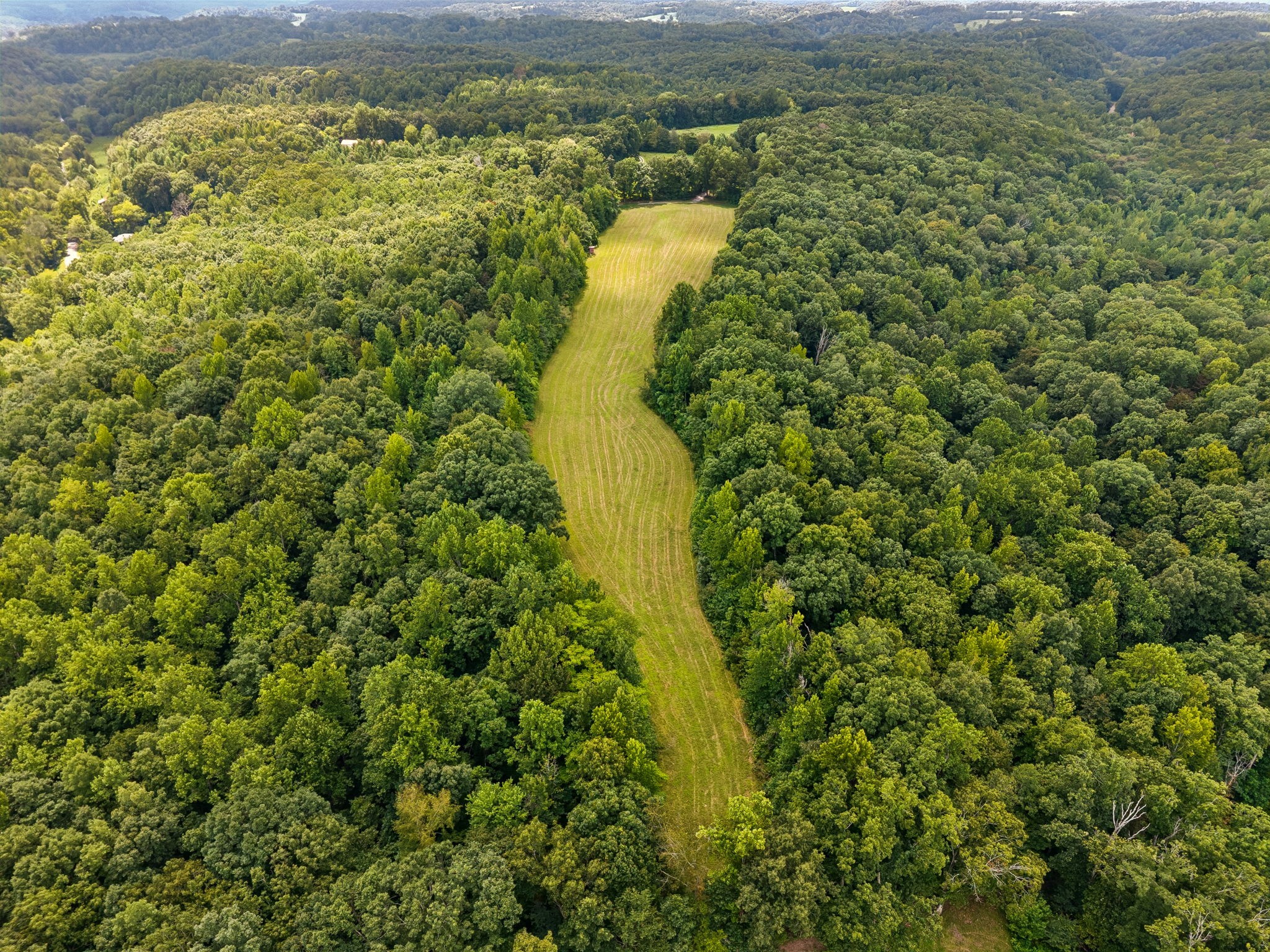 4647 Cowhorne Hollow Road Prospect, TN 38477 - Photo 12 of 26 Gallery Image 12
