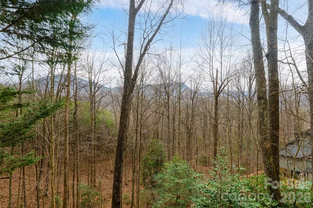 an aerial view of residential house with green space