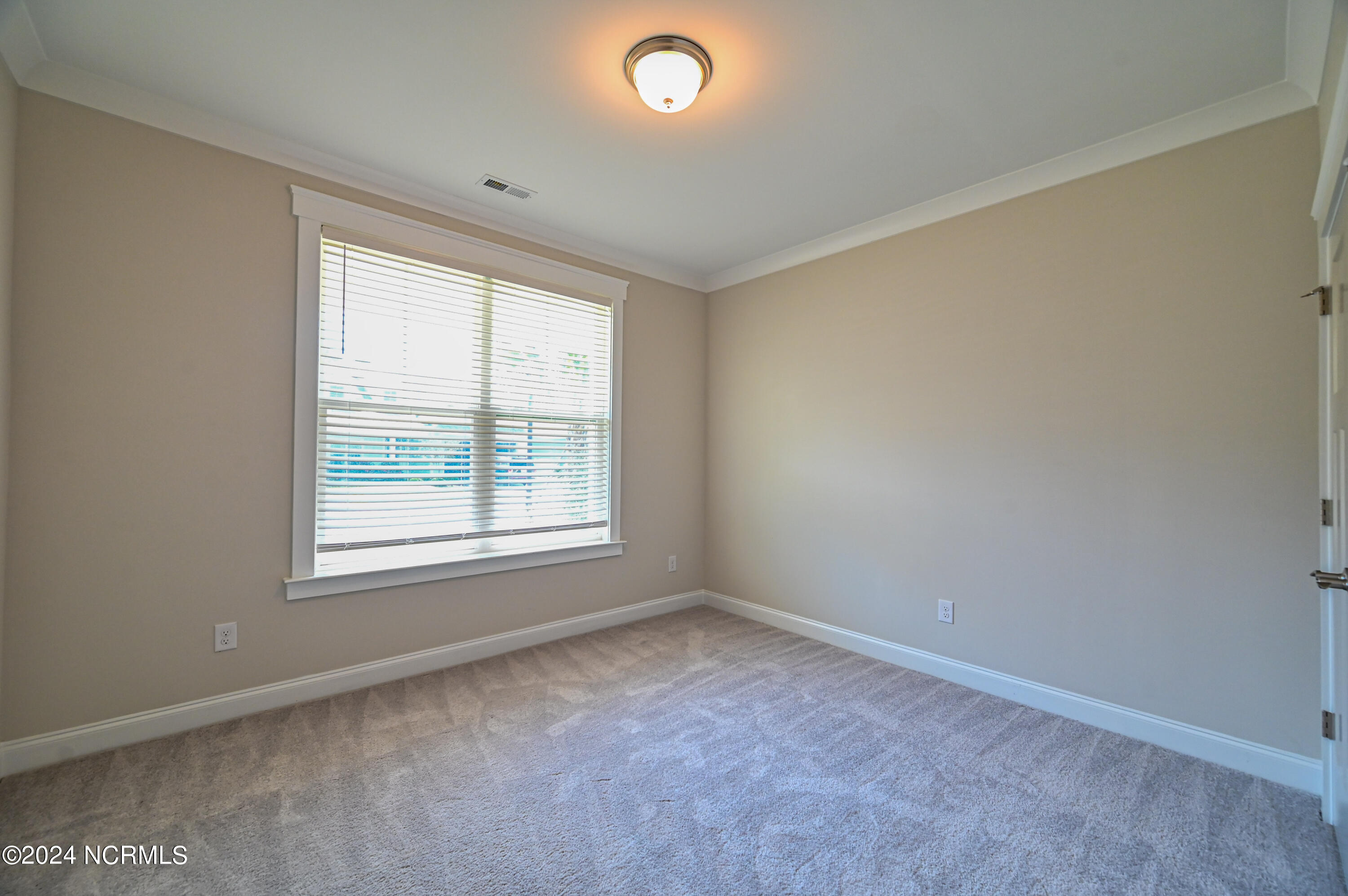 173 Twining Rose Lane Holly Ridge, NC 28445 - Photo 25 of 43 17-2