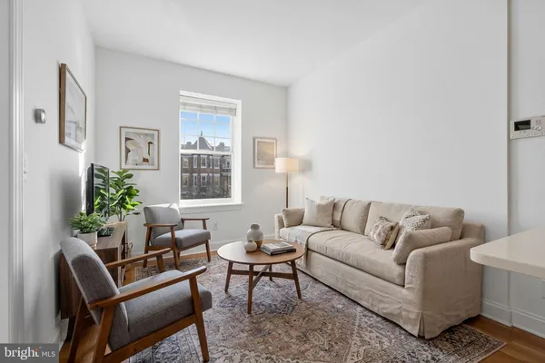 a living room with furniture and a potted plant