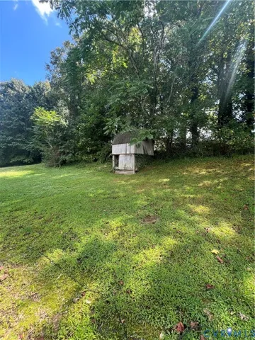 a view of a large garden with plants and large trees
