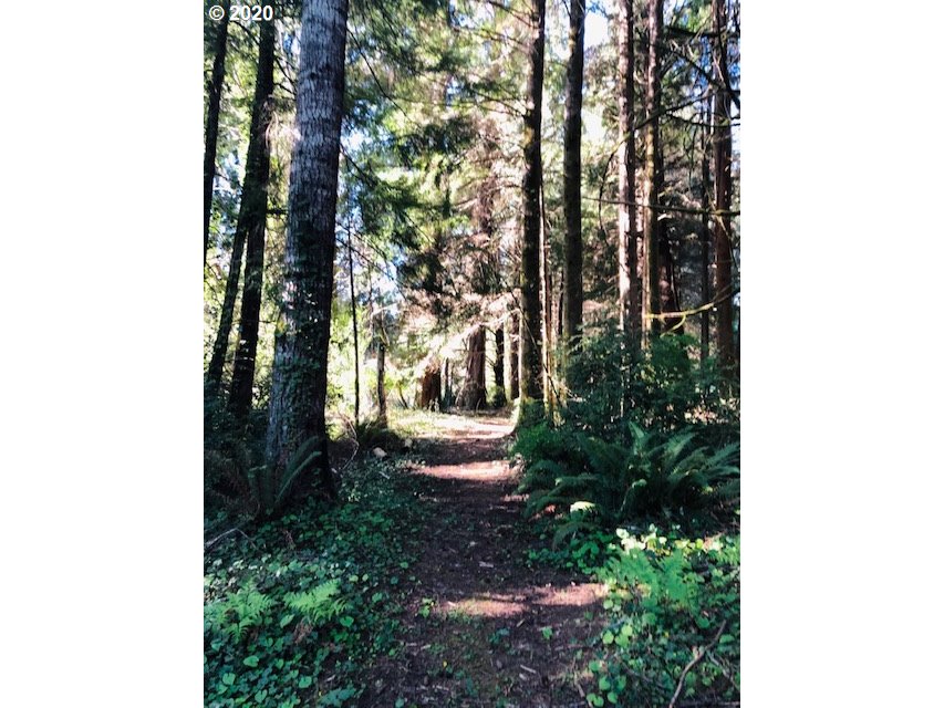 6825 North Fork Road Florence, OR 97439 - Photo 26 of 26 Gallery Image 26