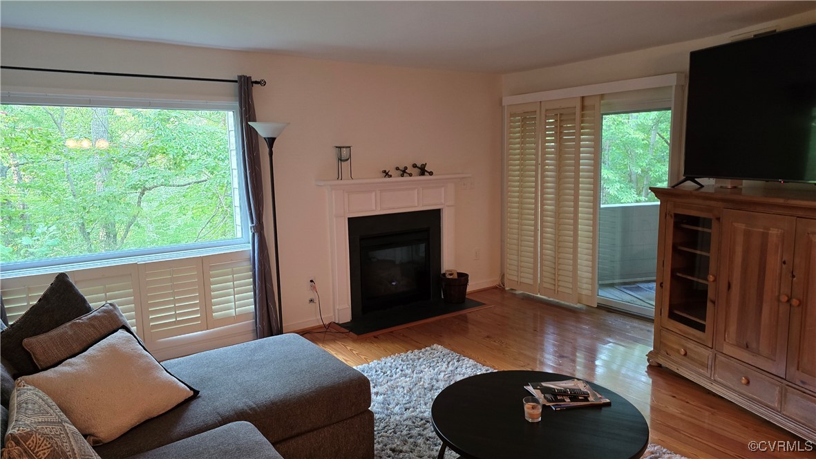 10312 Iron Mill Road Richmond, VA 23235 - Photo 4 of 22 Living room featuring light hardwood / wood-style