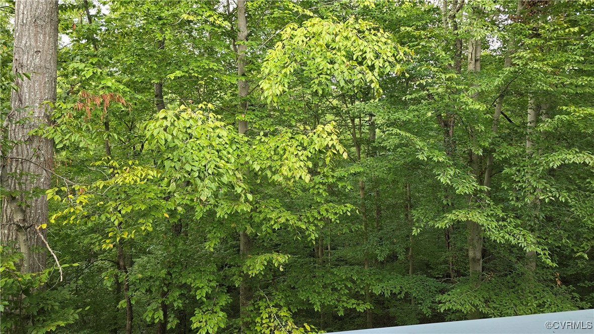 10312 Iron Mill Road Richmond, VA 23235 - Photo 6 of 22 View from balcony