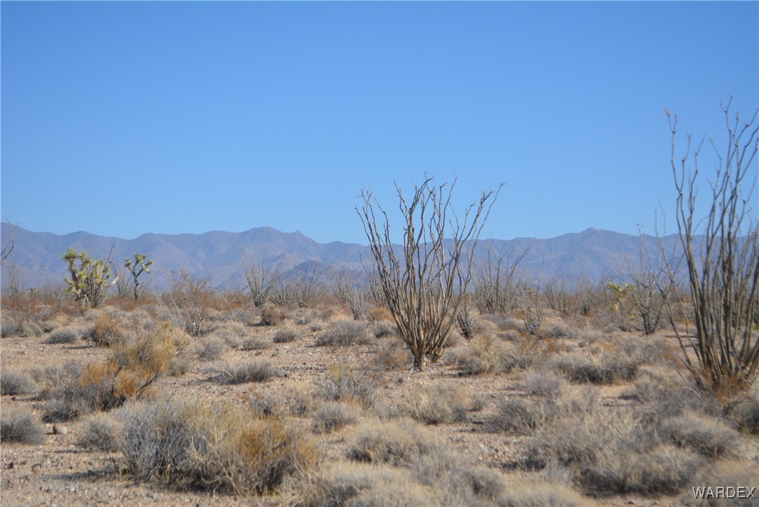245-24-107 South Rainbow Road Yucca, AZ 86438 - Photo 12 of 91
