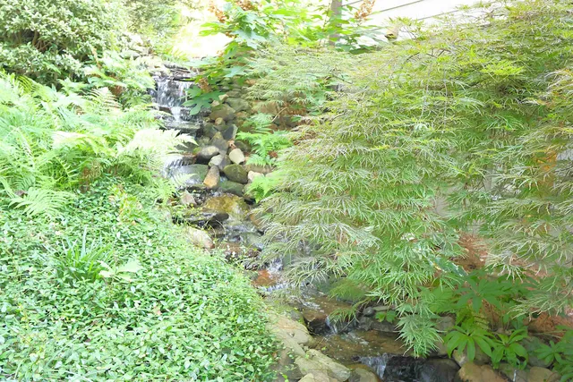 $615,000 | 294 Hollis Drive, Spartanburg, SC 29307