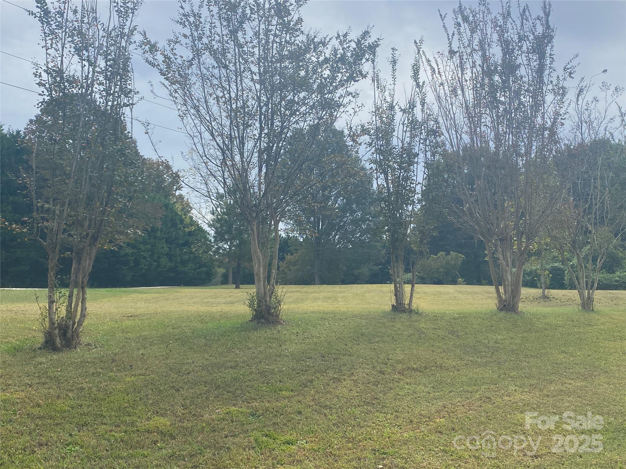 Tbd Crossland Road, Unit 2 Clover, SC 29710 - Photo 13 of 14 a view of yard with tree in it