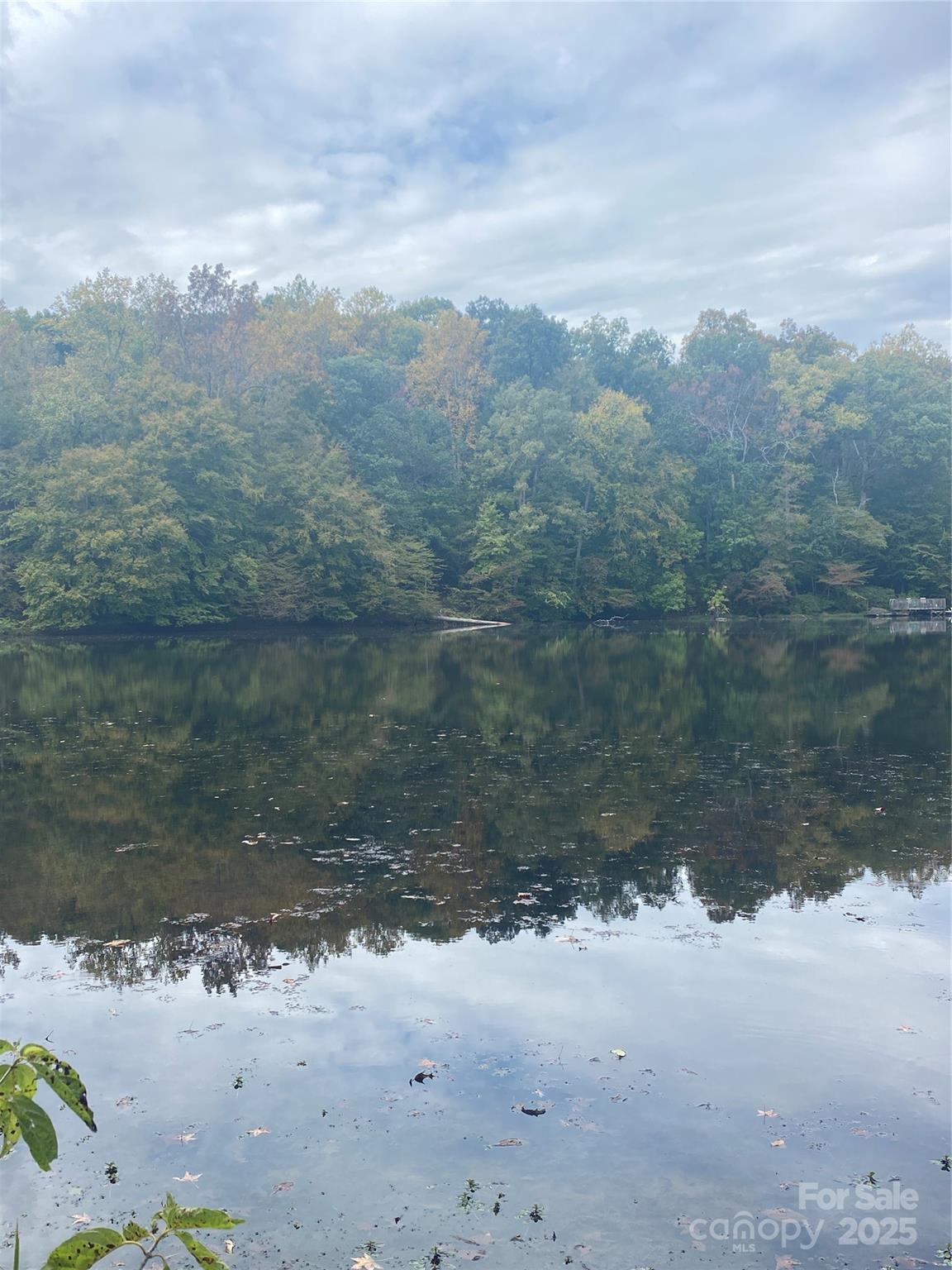 Tbd Crossland Road, Unit 2 Clover, SC 29710 - Photo 4 of 14 a view of a yard with a snow in it