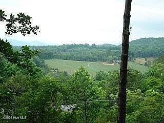 662 Holly Springs Estates Road Franklin, NC 28734 - Photo 23 of 25 bfdc86ac465a49180a41a17780254b24-cc_ft_7