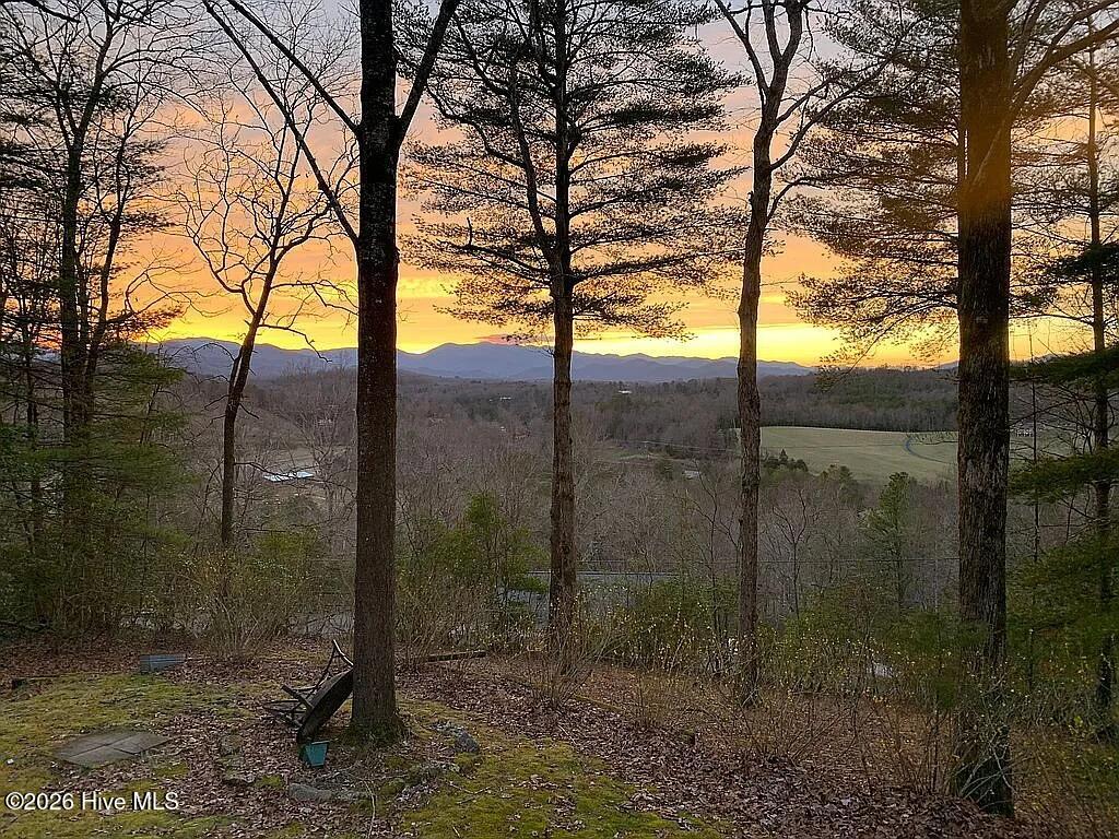 662 Holly Springs Estates Road Franklin, NC 28734 - Photo 24 of 25 425fd9adba40232977683e34ea774e69-cc_ft_1