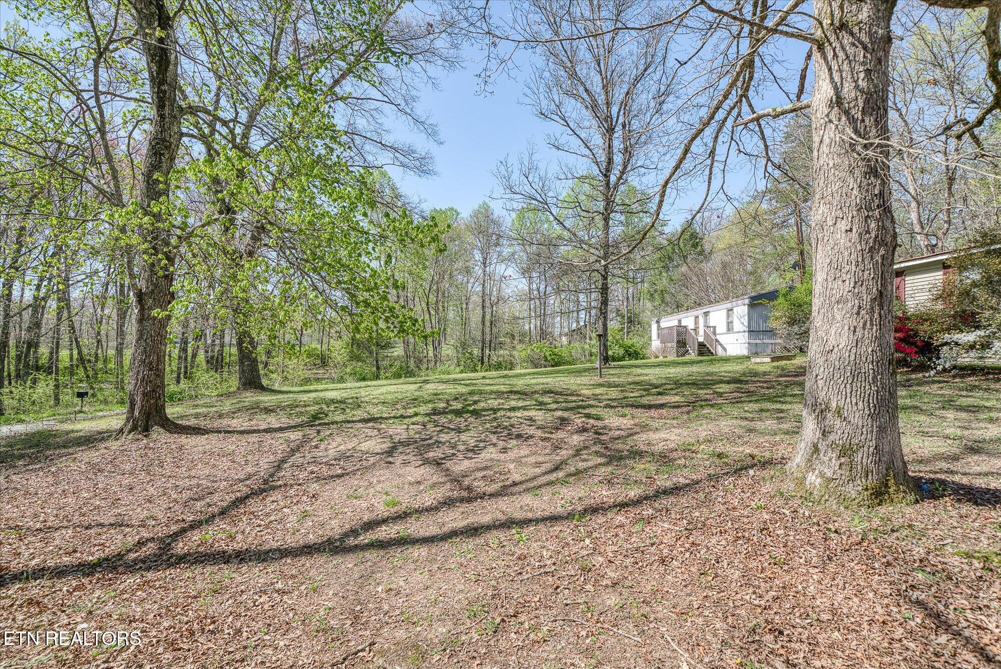 130 Ridge Road Lancing, TN 37770 - Photo 31 of 52 32-130 Ridge Rd_TNPC_179