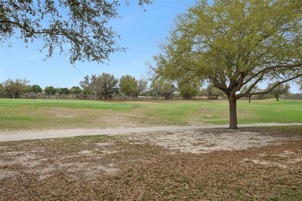 3749 Arlington Ridge Boulevard Leesburg, FL 34748 - Photo 28 of 63
