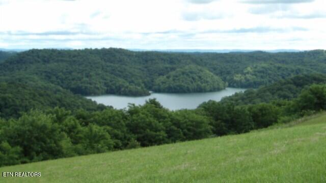 Lot 40 Swan Ridge Road Celina, TN 38551 - Photo 12 of 31 100_0038