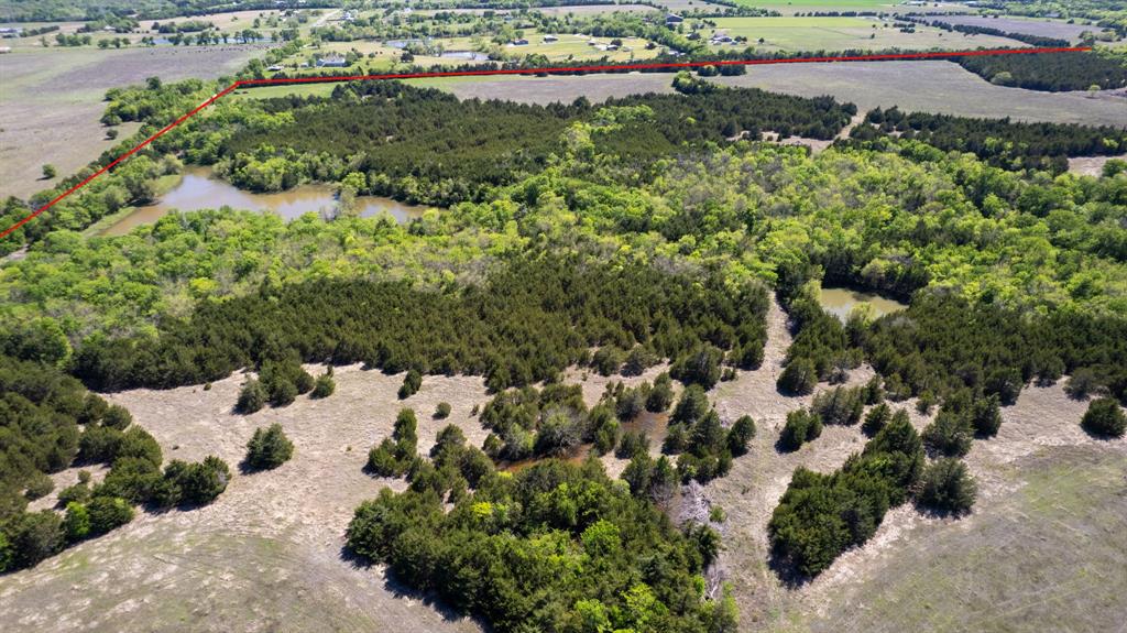 5020 County Road 5020 Road, Unit OF Blue Ridge, TX 75424 - Photo 15 of 17