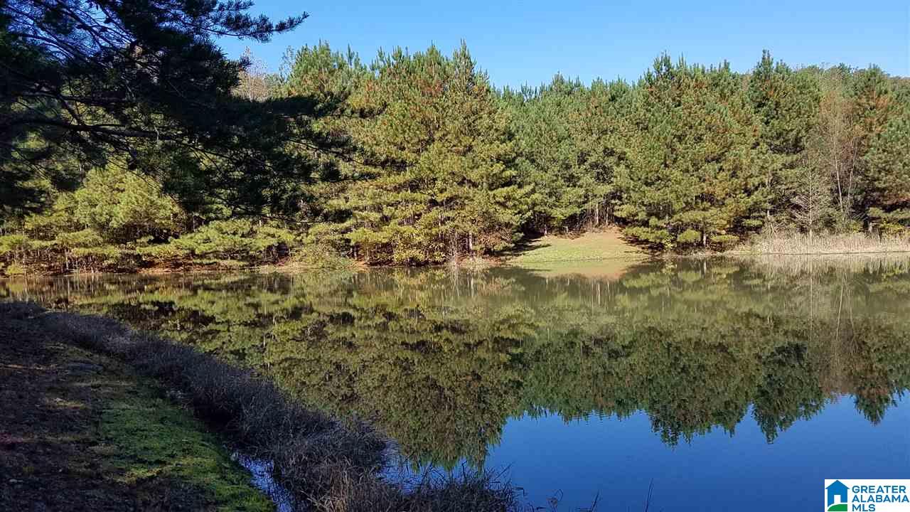 298 Bowerman Road Blountsville, AL 35031 - Photo 18 of 30