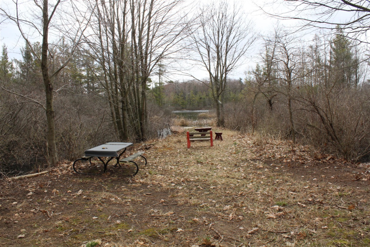V/l West Cleveland Road Rothbury, MI 49452 - Photo 8 of 17