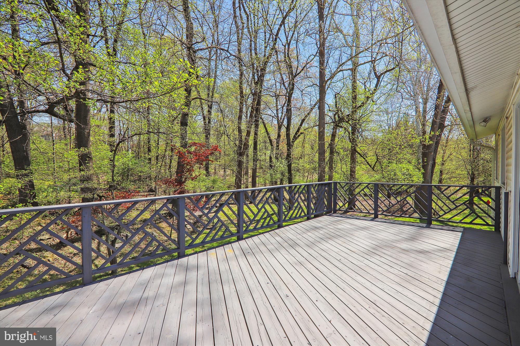 824 Carter Road Rockville, MD 20852 - Photo 49 of 75 Gallery Image 49