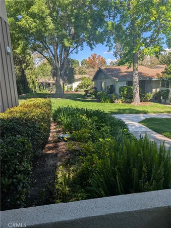 a view of a yard with plants