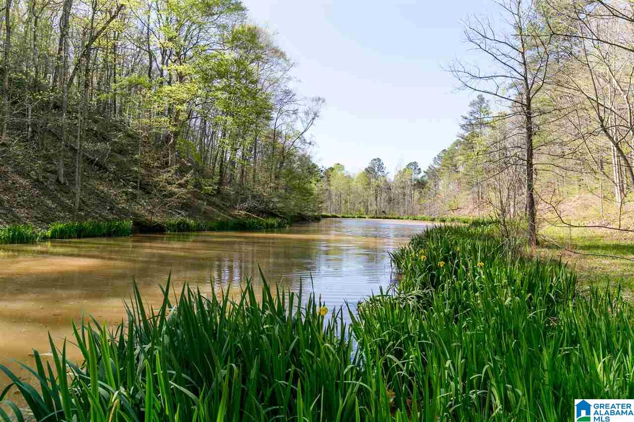 8751 Clayton Cove Road Springville, AL 35146 - Photo 6 of 44