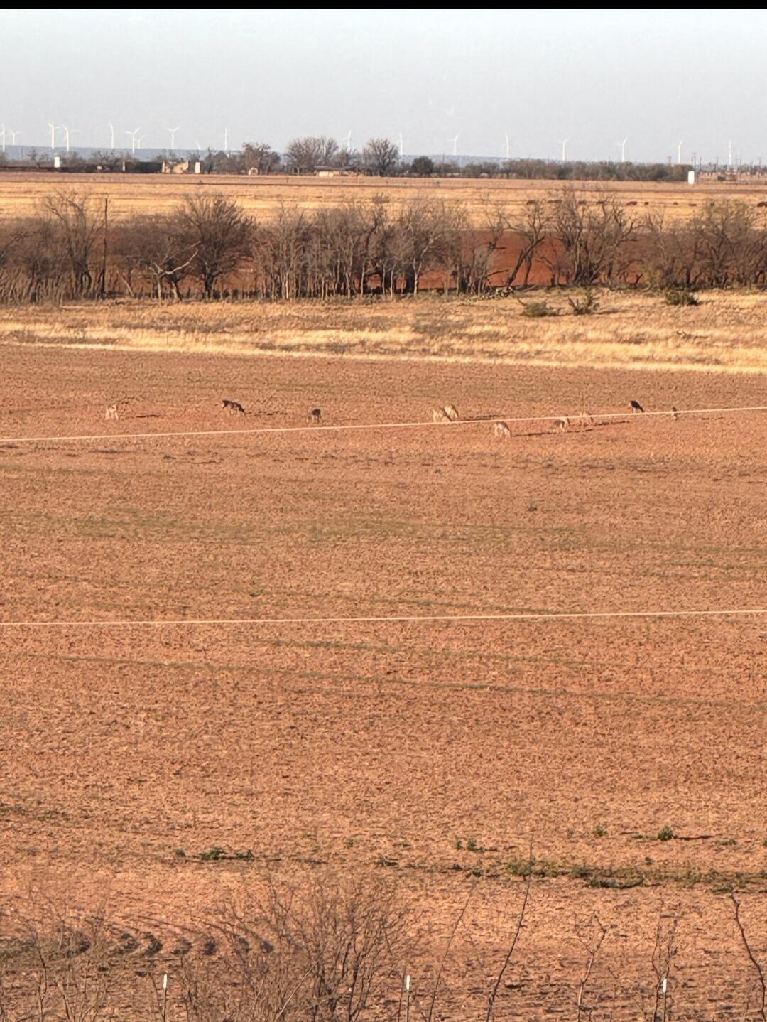 354 Co Road Winters, TX 79567 - Photo 12 of 23 Screenshot_20260605_081401_Gallery