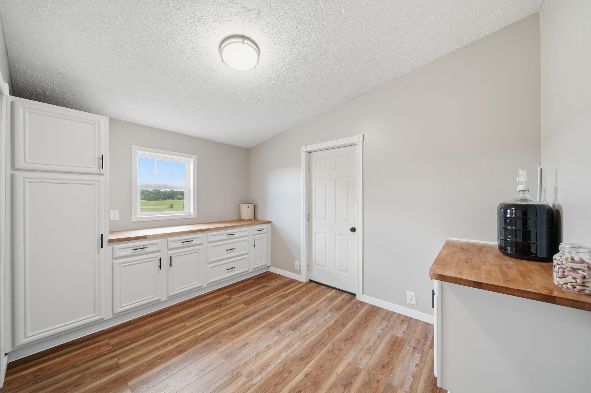 5640 Centennial Road Tecumseh, MI 49286 - Photo 28 of 63 30-web-or-mls-DSC02944