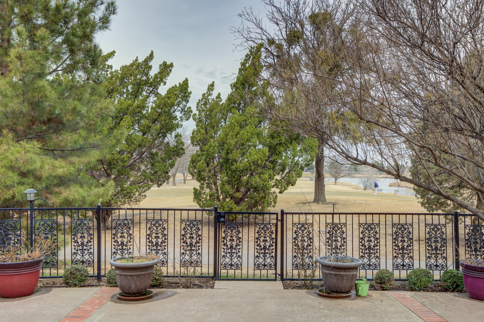 8902 York Place Lubbock, TX 79424 - Photo 49 of 54 a view of a street with potted plants and large trees