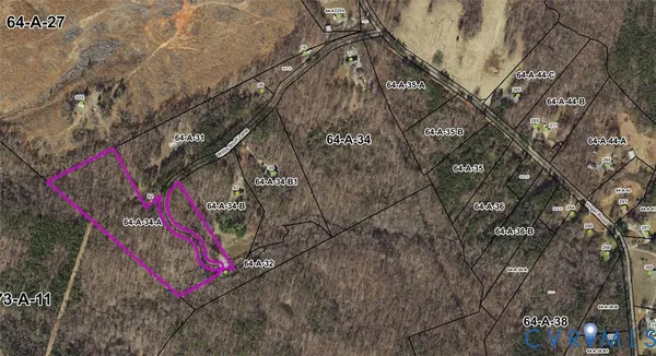 a small garden covered with tall trees