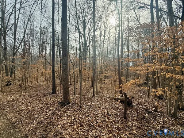 a view of a backyard of the house