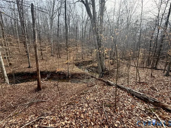 a view of a backyard of the house