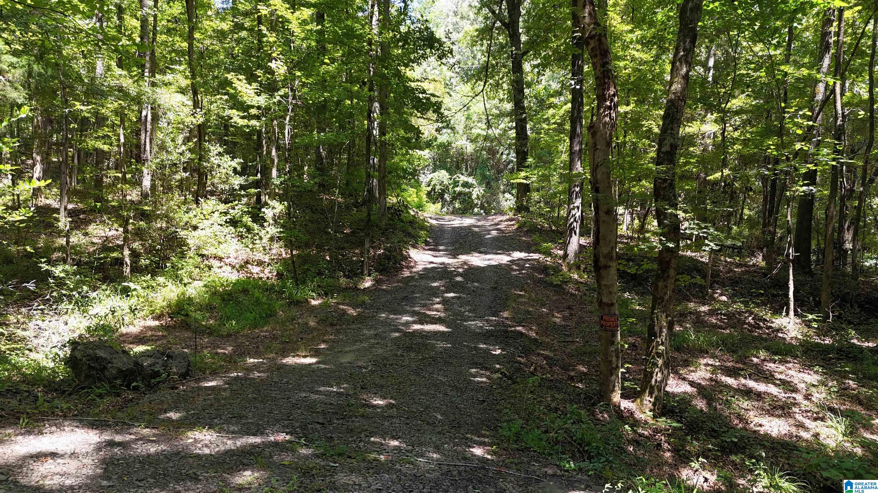 2170 Birmingham Road Centreville, AL 35042 - Photo 12 of 32