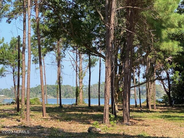235 Sleepy Point Road Gloucester, NC 28528 - Photo 4 of 16 Lot 2 views
