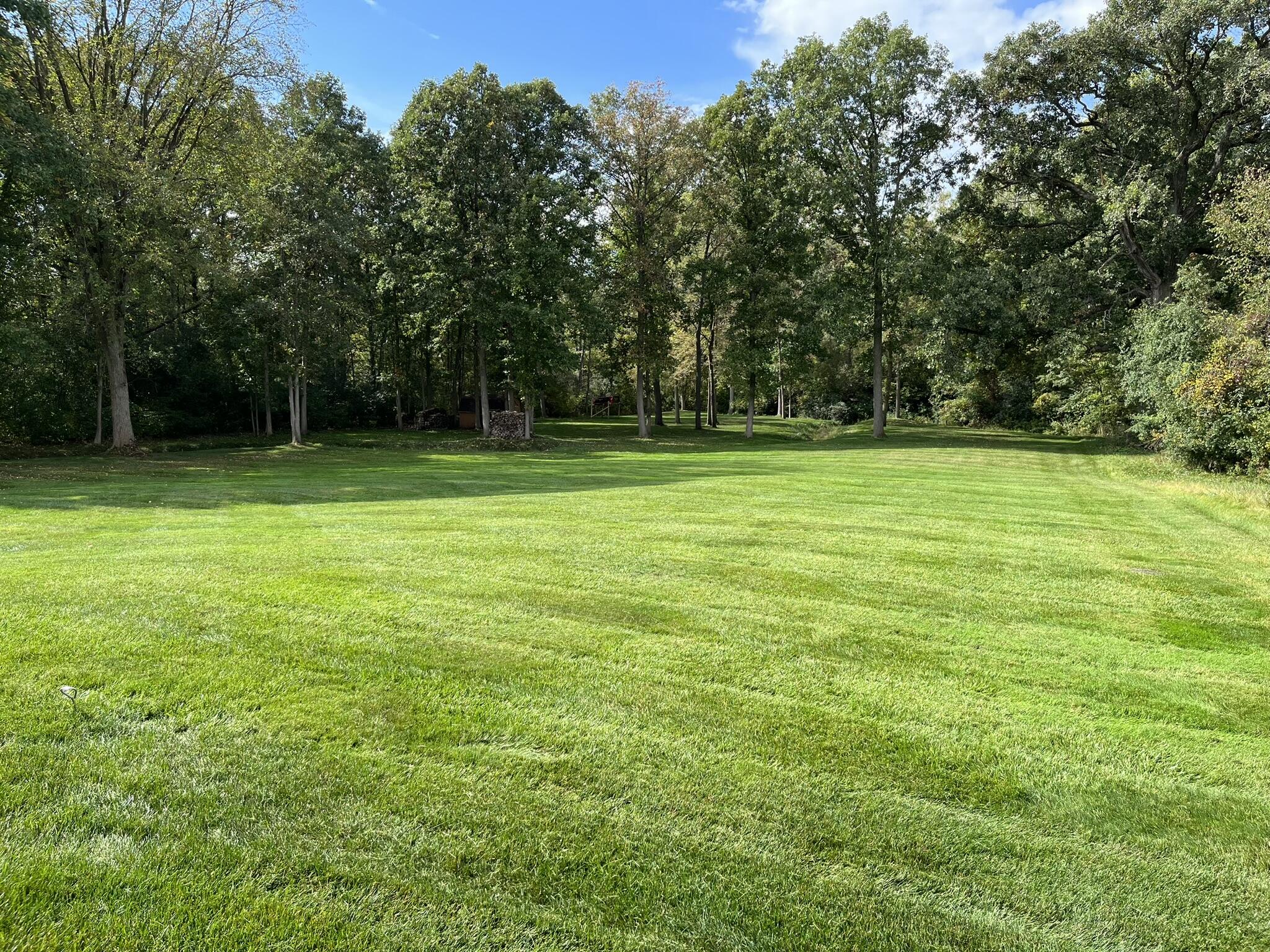 10410 Moon Road Milan, MI 48160 - Photo 33 of 47 Additional back yard view