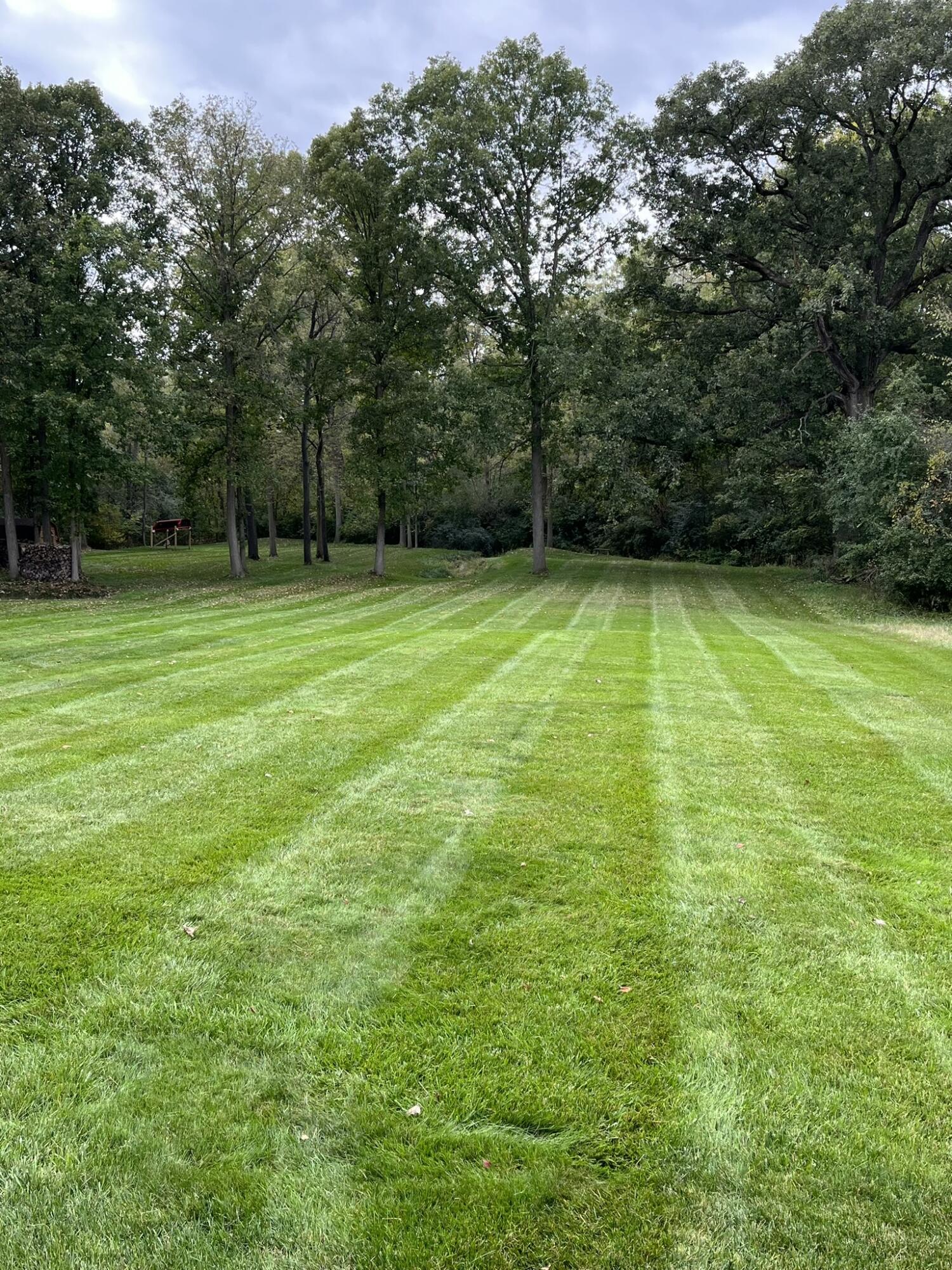 10410 Moon Road Milan, MI 48160 - Photo 43 of 47 Backyard view