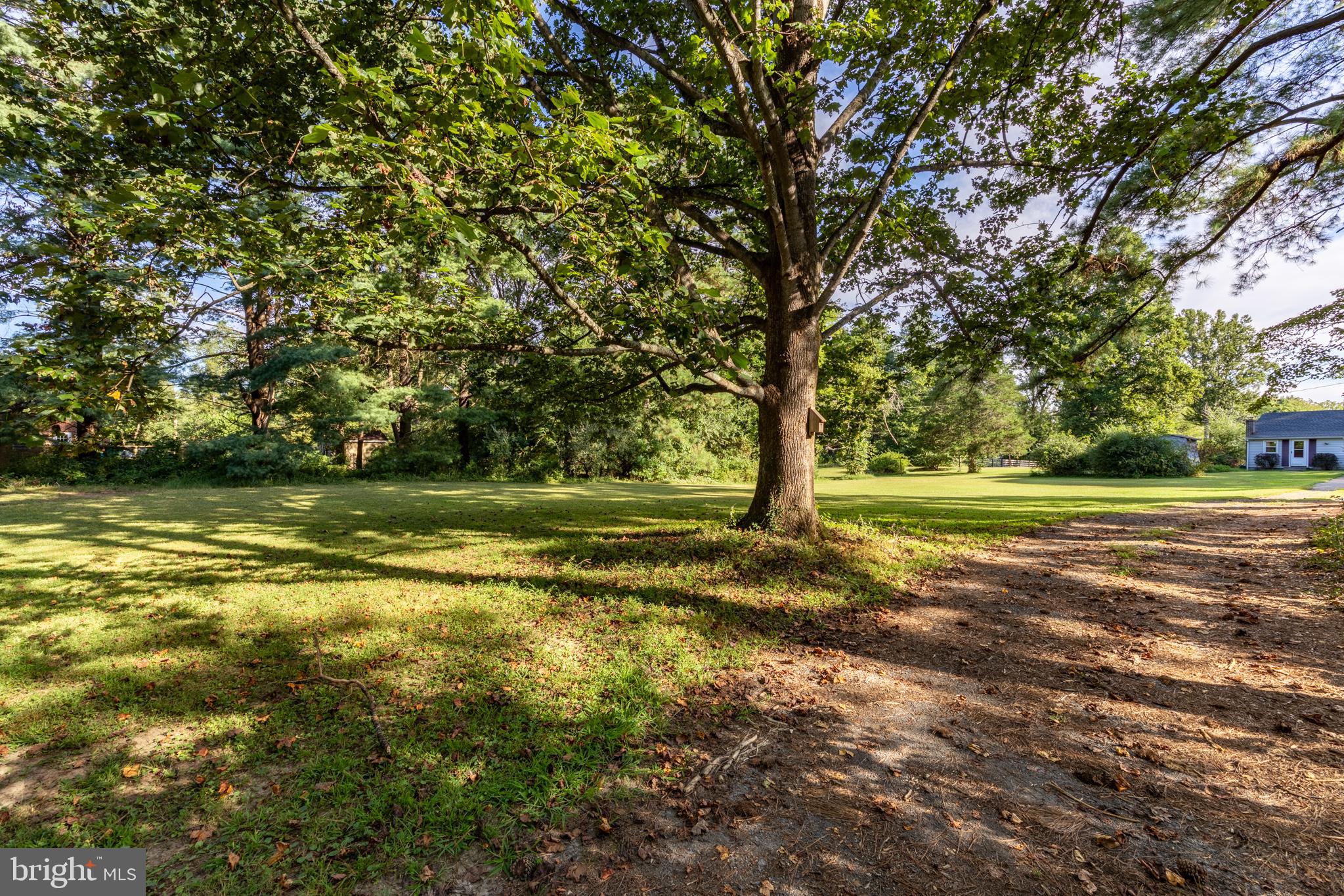 17227 Oakshade Road Orange, VA 22960 - Photo 15 of 19 a view of a field with trees
