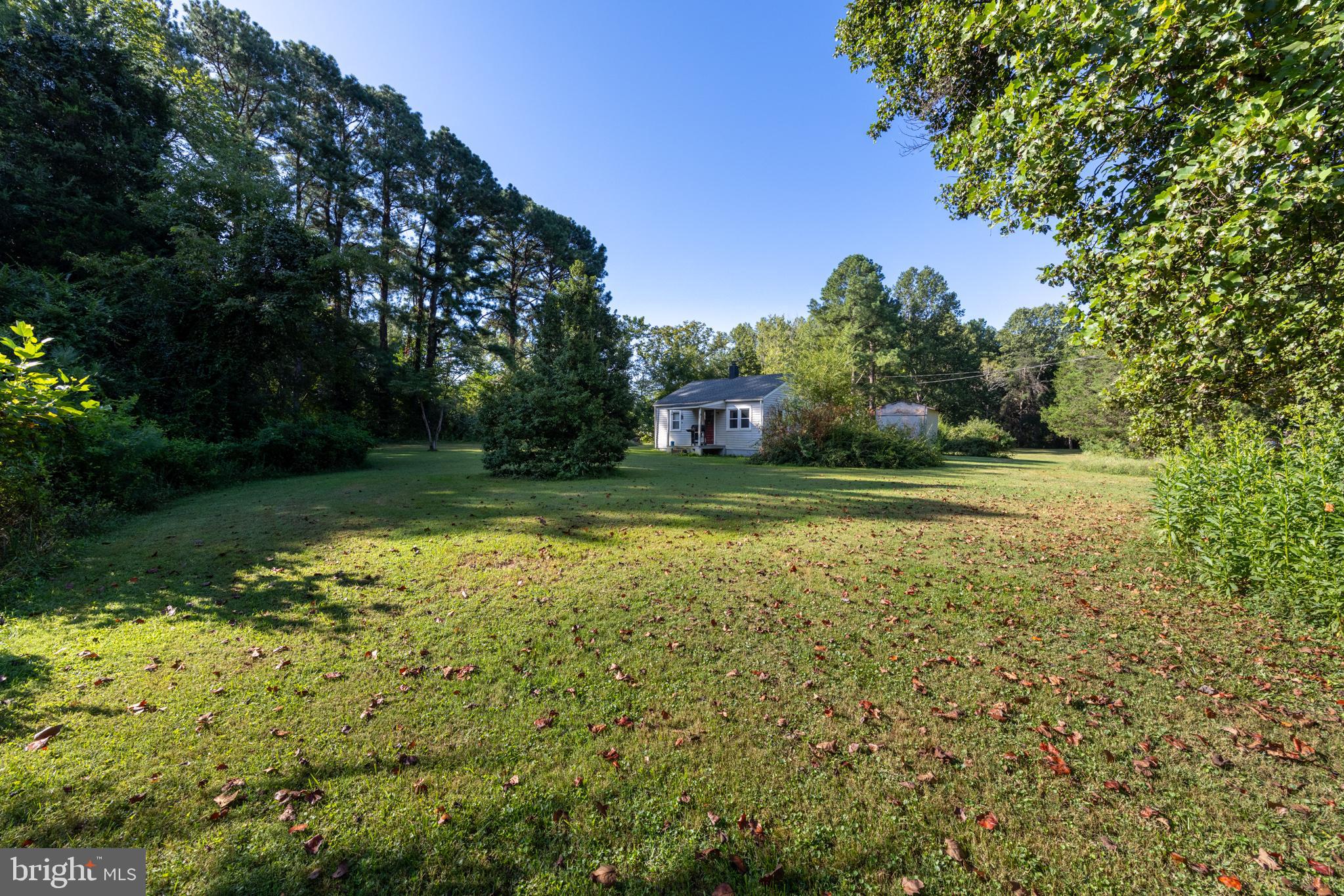 17227 Oakshade Road Orange, VA 22960 - Photo 16 of 19 a view of a big yard