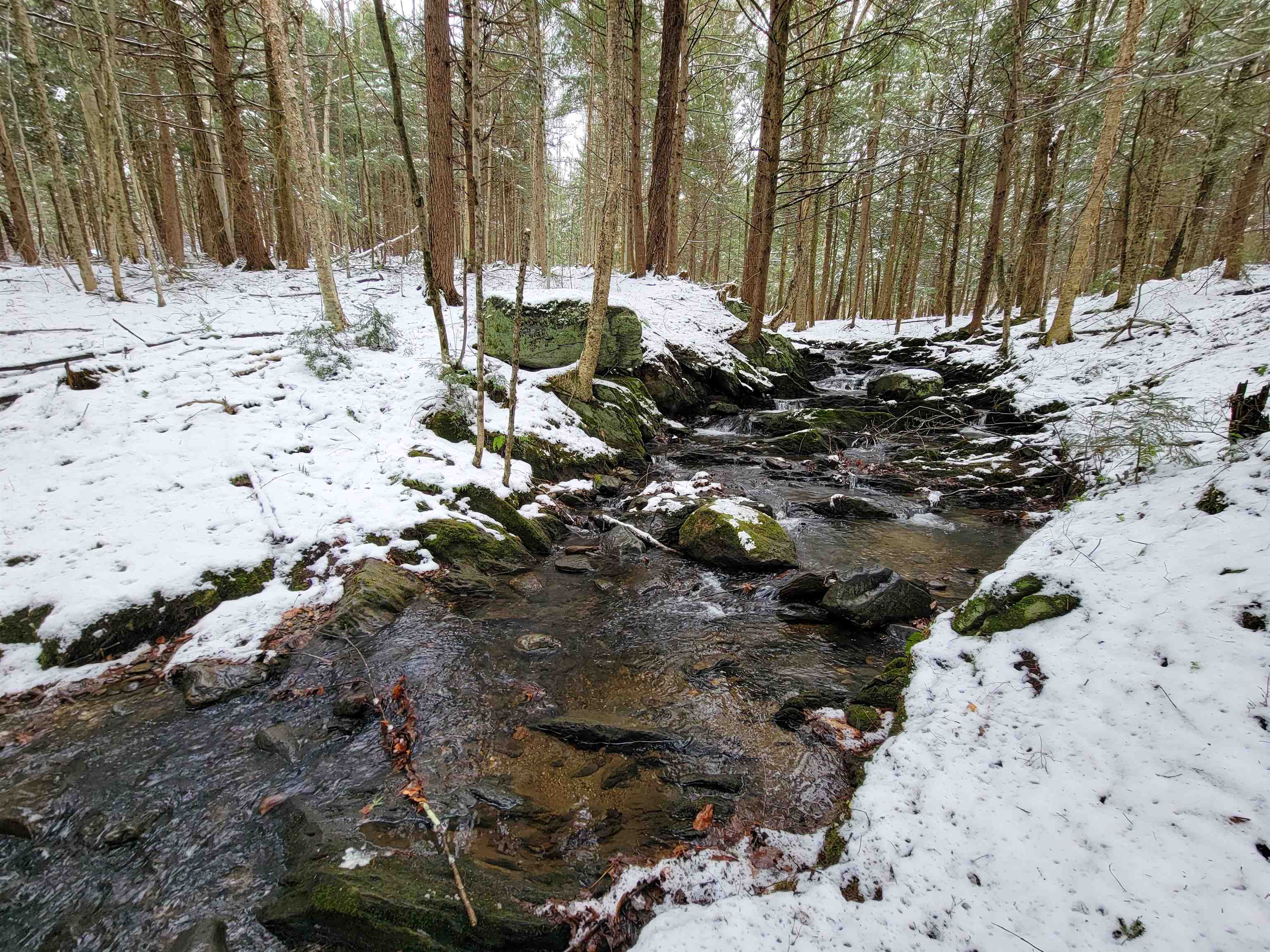 167 High Meadow Road Stowe, VT 05672 - Photo 15 of 55