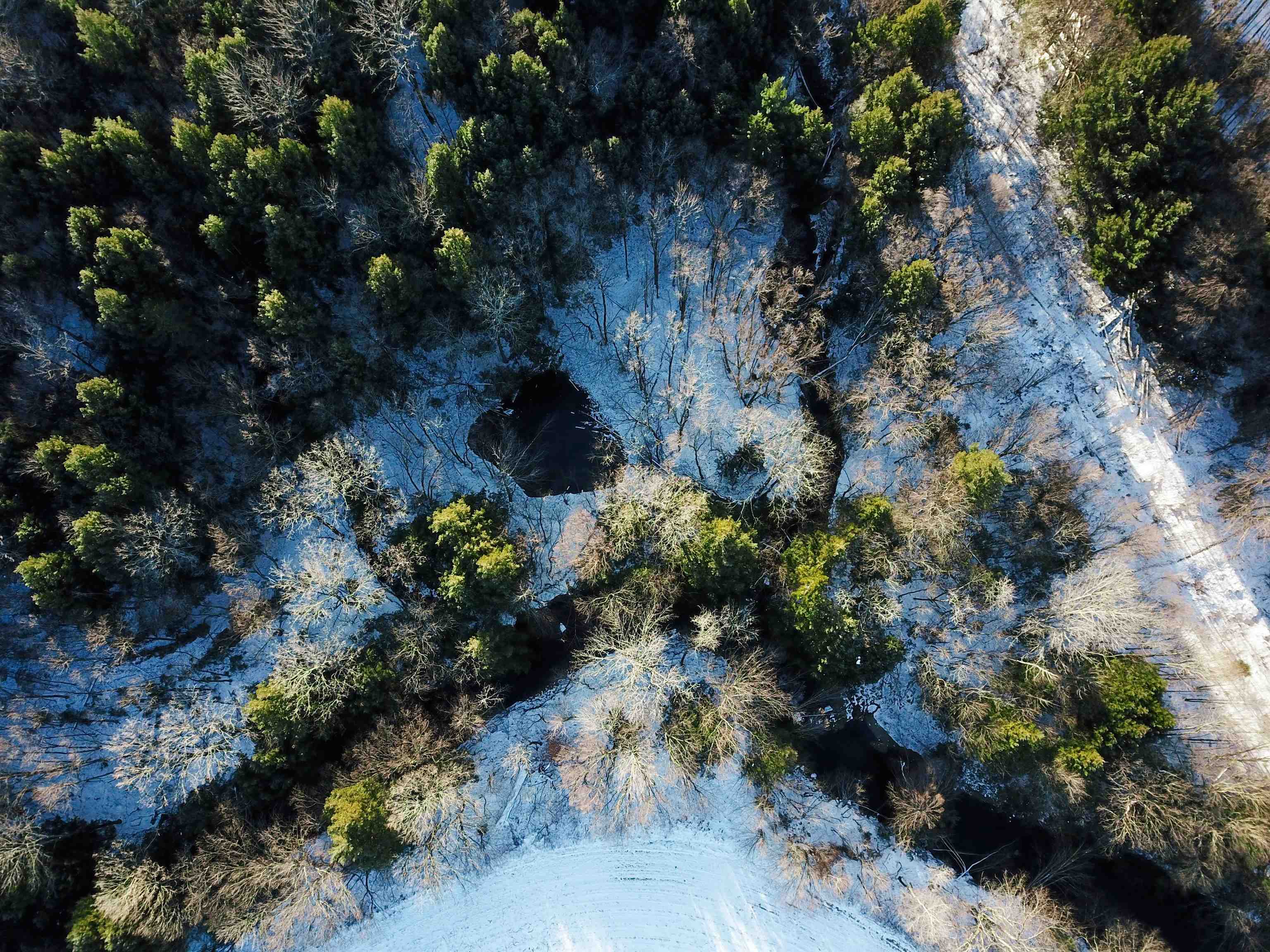 167 High Meadow Road Stowe, VT 05672 - Photo 16 of 55