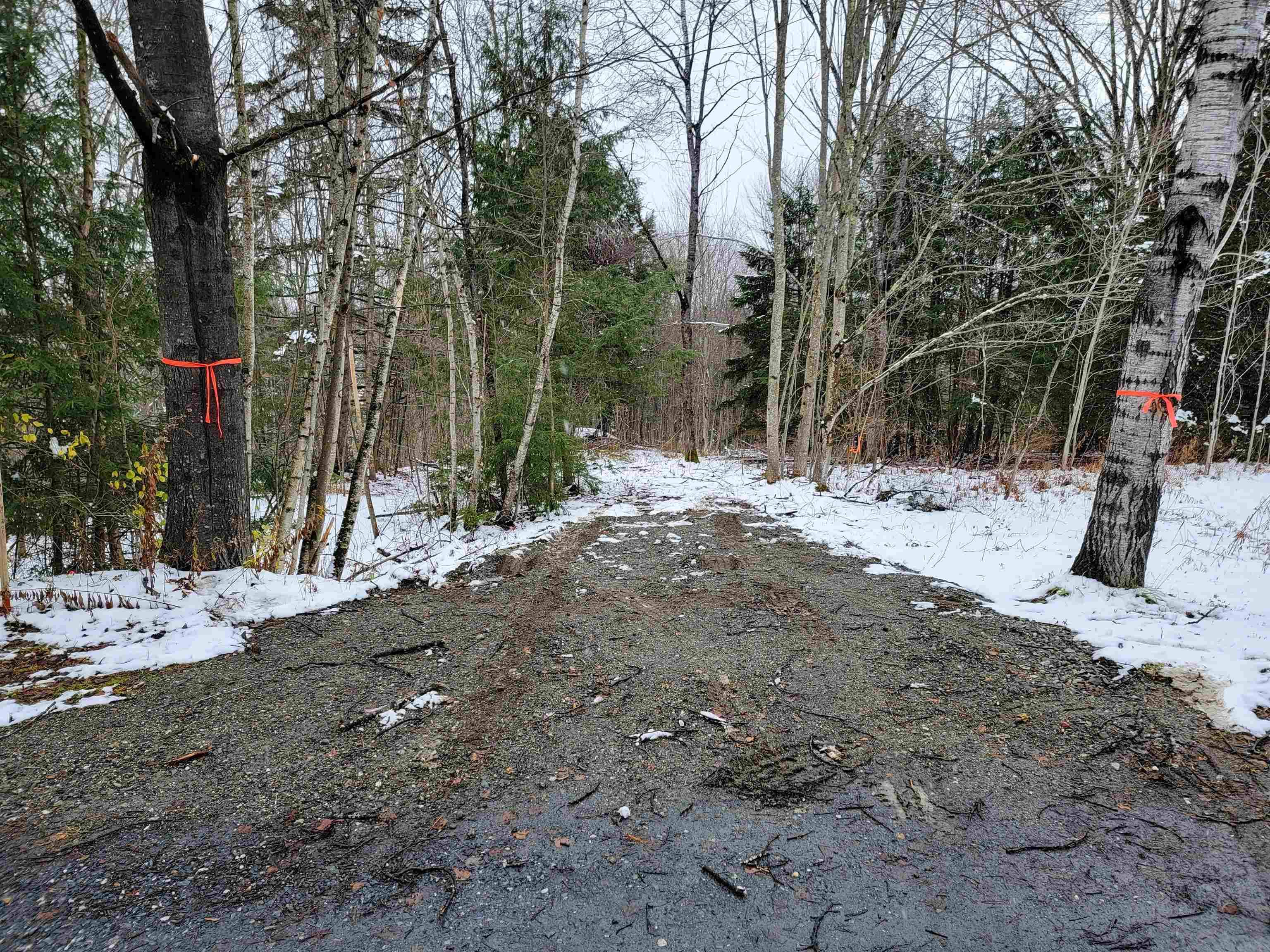 167 High Meadow Road Stowe, VT 05672 - Photo 24 of 55