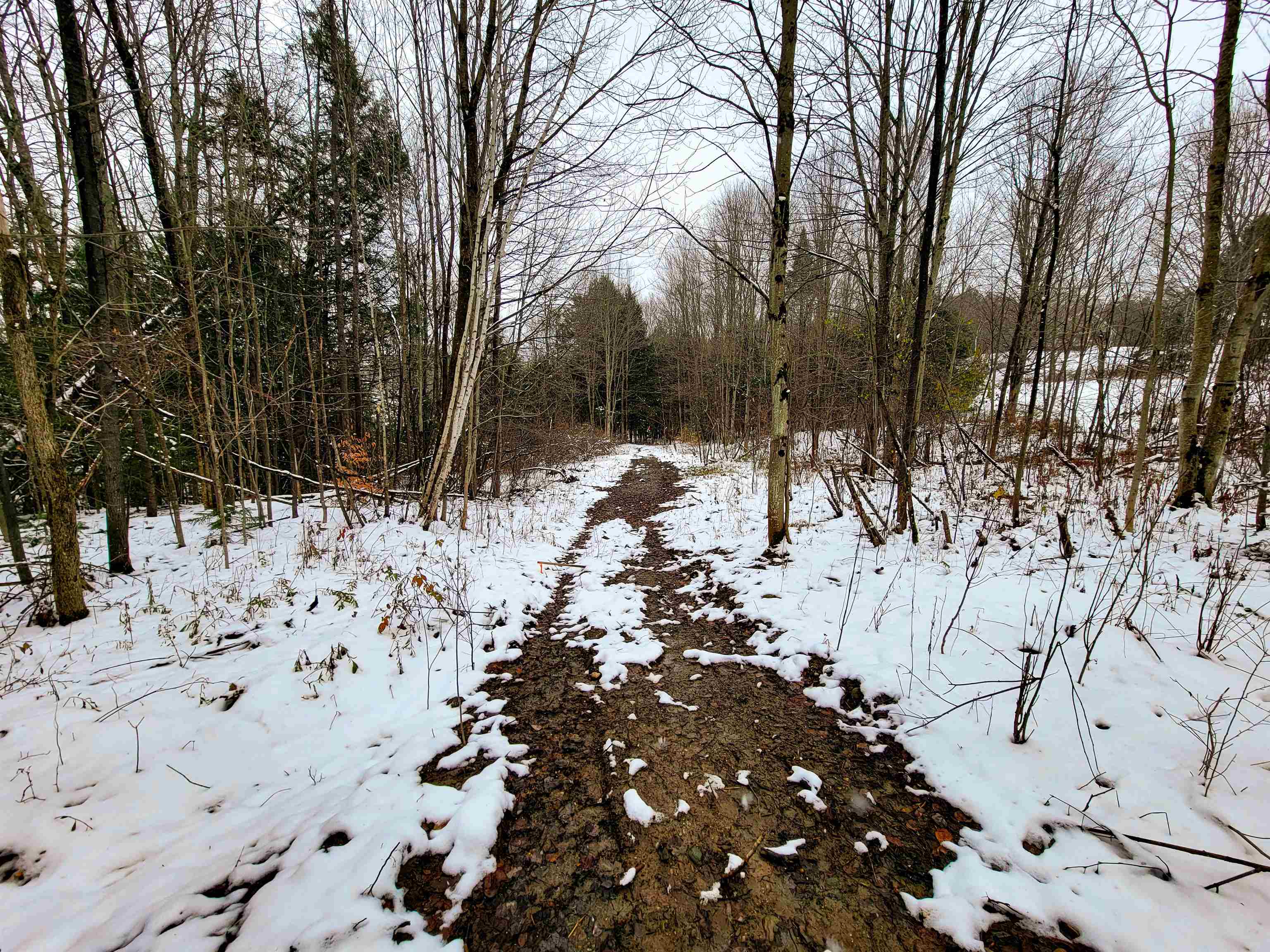 167 High Meadow Road Stowe, VT 05672 - Photo 25 of 55