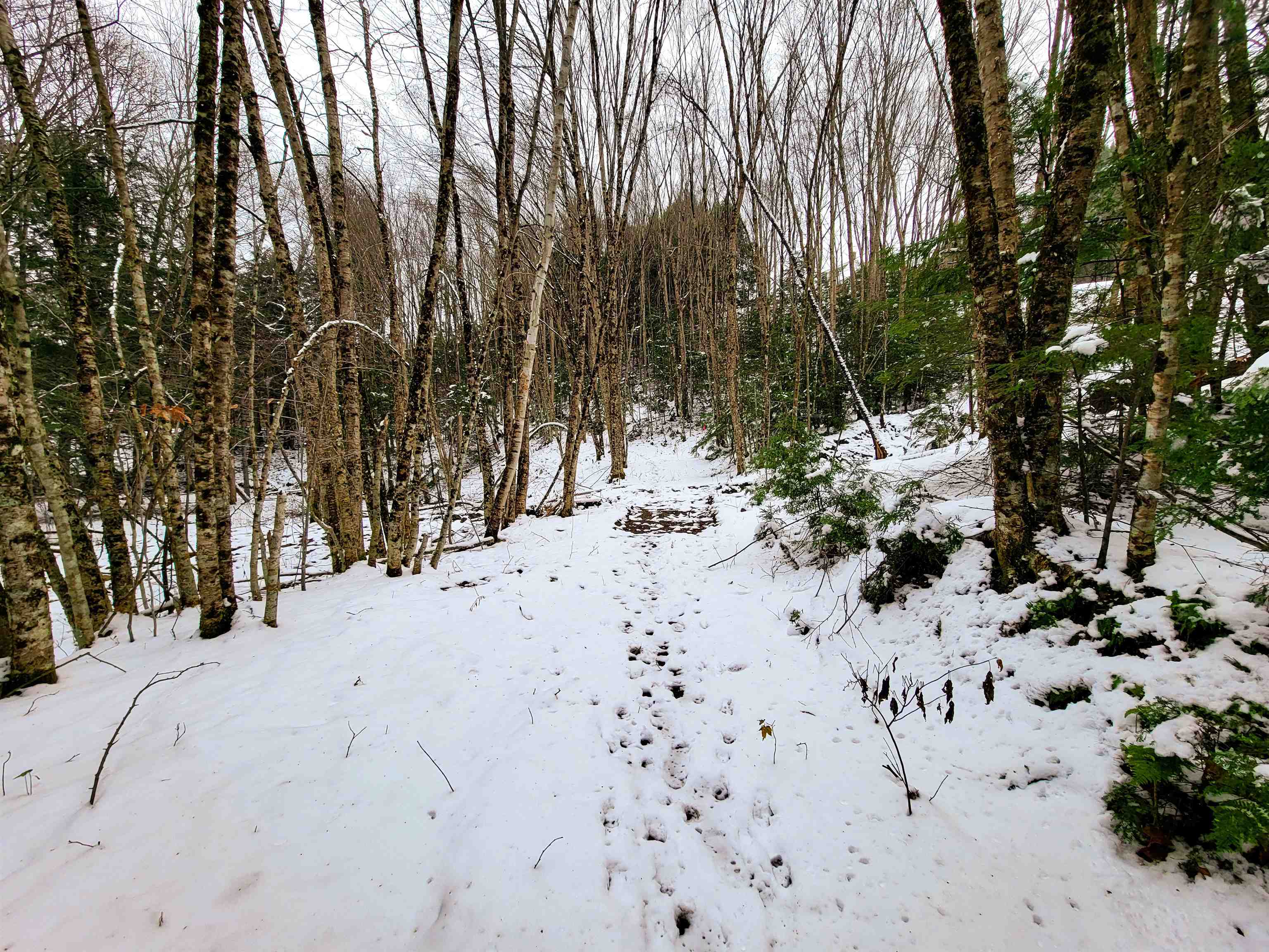 167 High Meadow Road Stowe, VT 05672 - Photo 26 of 55