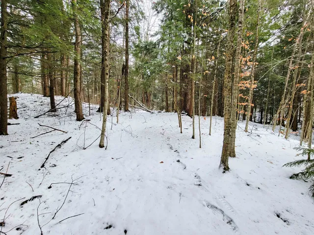 $695,000 | 167 High Meadow Road, Stowe, VT 05672