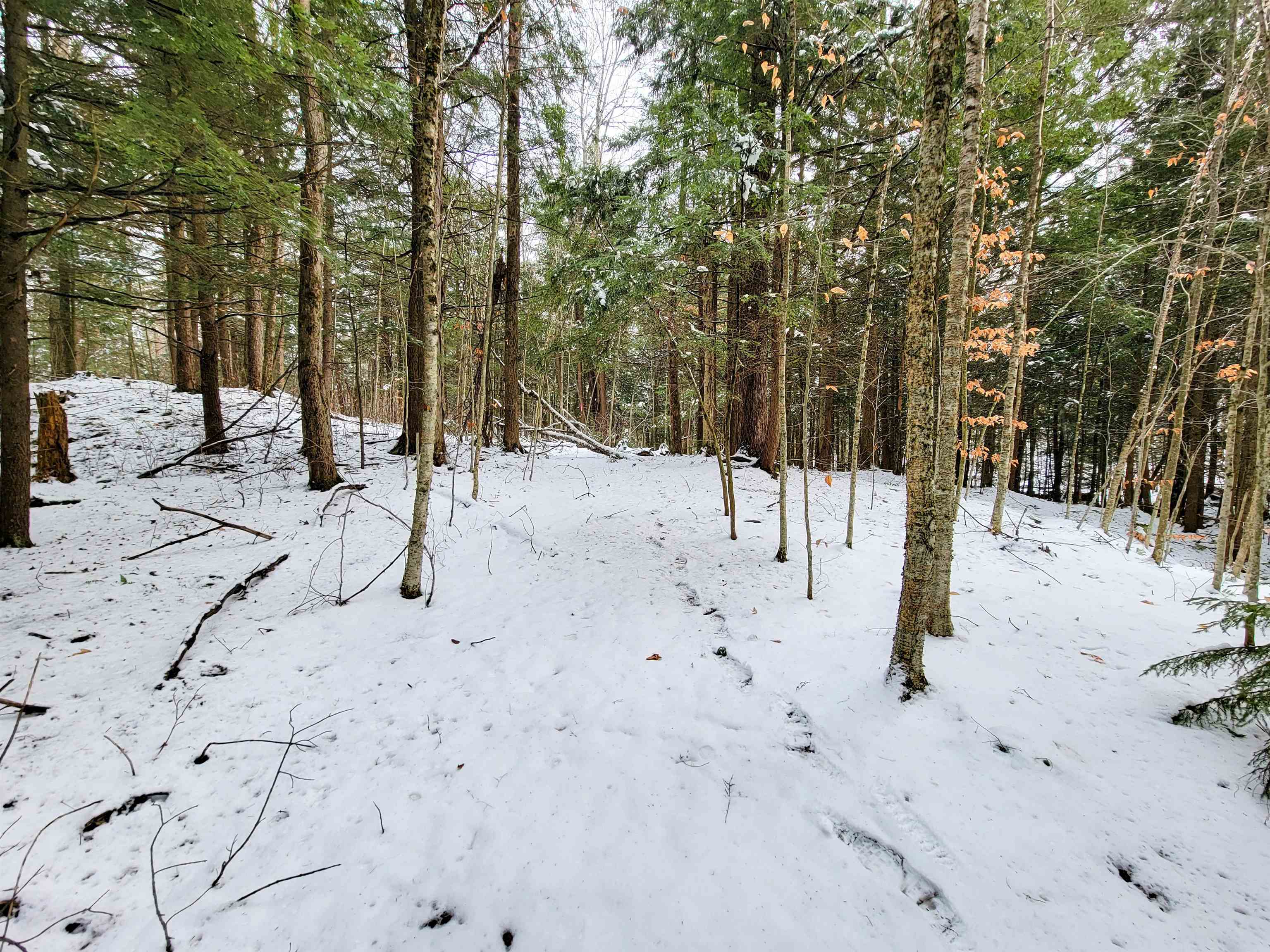 167 High Meadow Road Stowe, VT 05672 - Photo 27 of 55