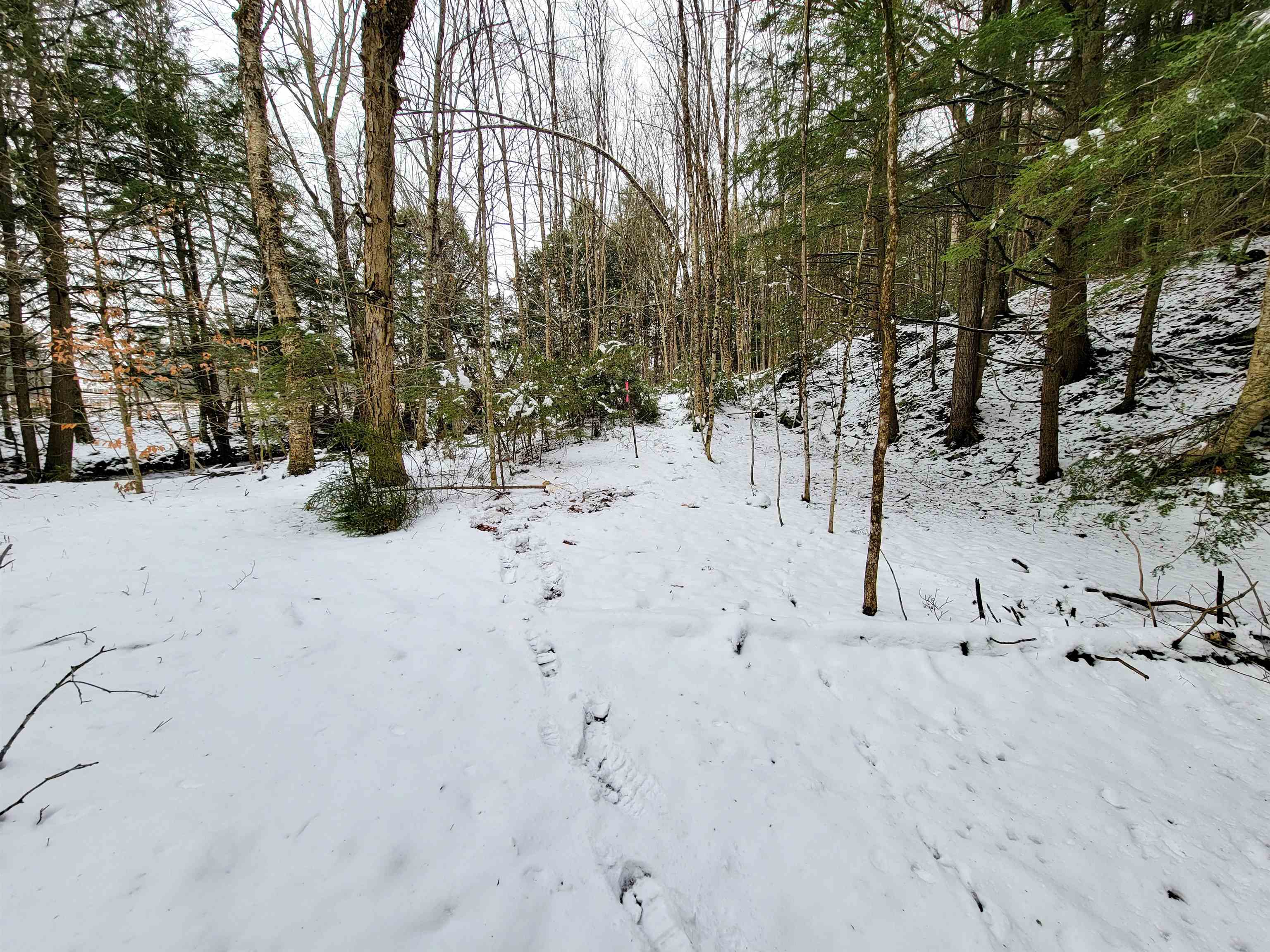 167 High Meadow Road Stowe, VT 05672 - Photo 28 of 55