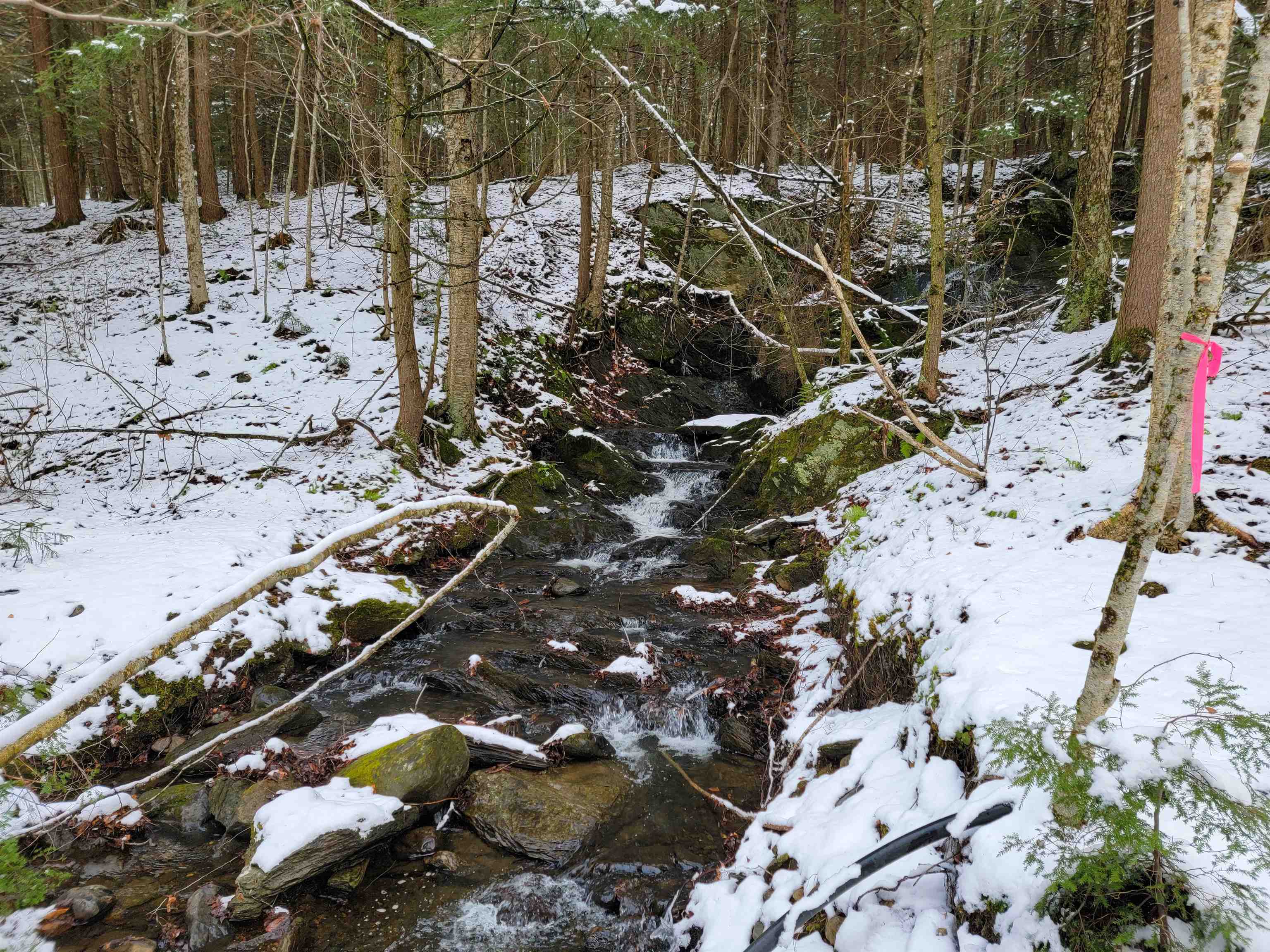 167 High Meadow Road Stowe, VT 05672 - Photo 32 of 55