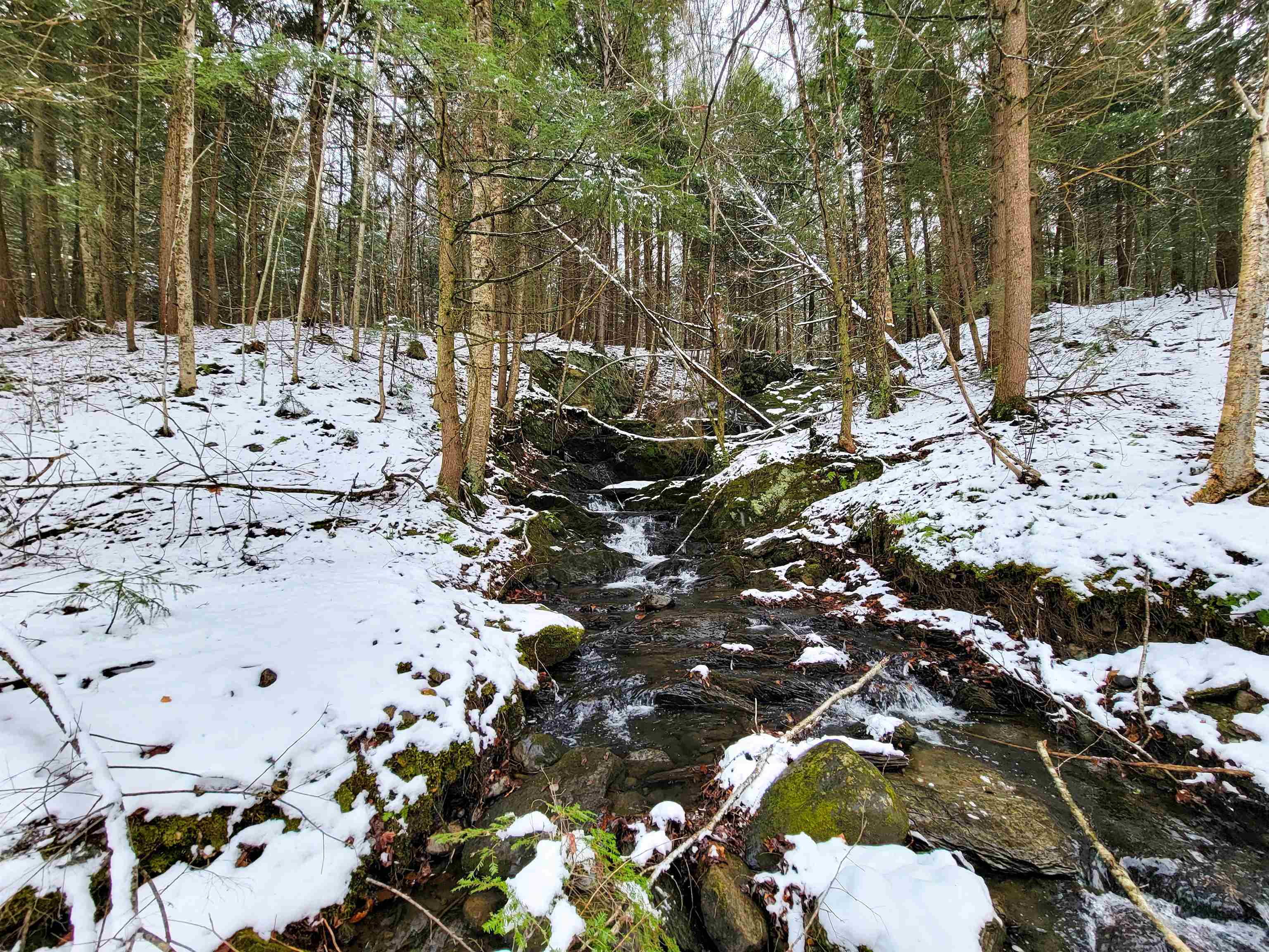 167 High Meadow Road Stowe, VT 05672 - Photo 33 of 55